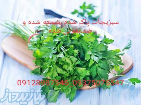 تولید وتوزیع سبزیجات اماده 