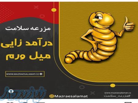 آموزش تخصصی پرورش میل ورم