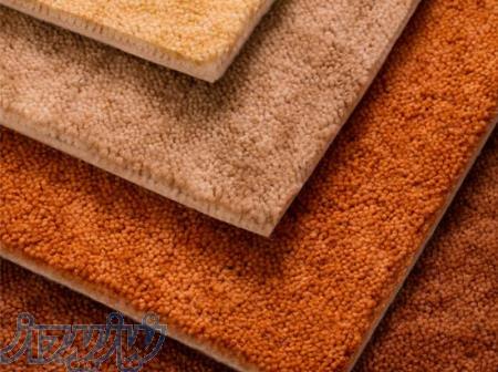 پخش و فروش انواع طرح ها و رنگ های موکت پالاز 