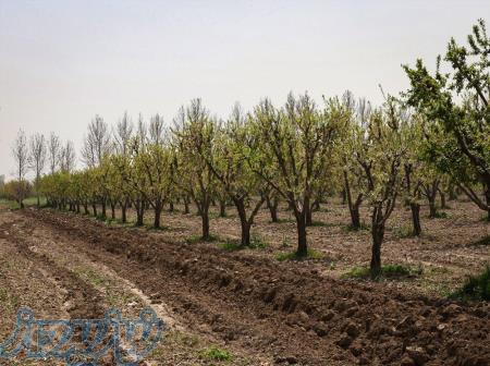 باغ با اب و هوای عالی با متراژ 1945 متری 