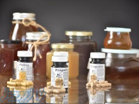 تولید وتوزیع فراورده های زنبور عسل(بی اکتیو)-انواع عسل-ژله رویال-گرده گل وبرموم 