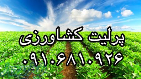 فروش ‌پرلیت