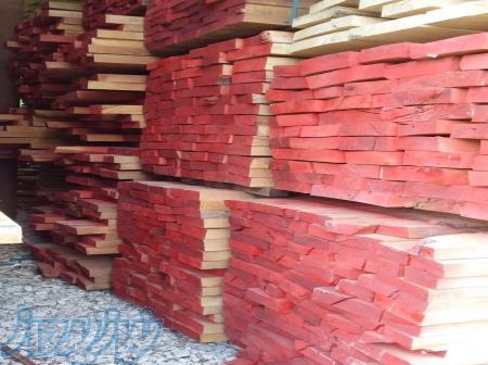 واردات و فروش مستقیم چوب راش جنگلی گرجستان 