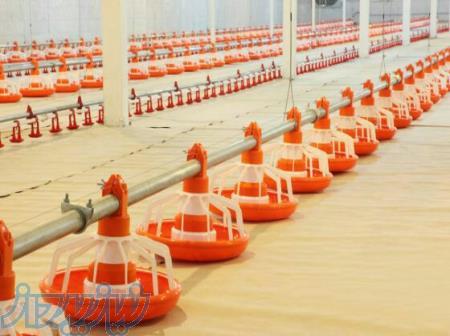 دانخوری بشقابی ابخوری نیپل 