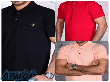 پولوشرت جودون 