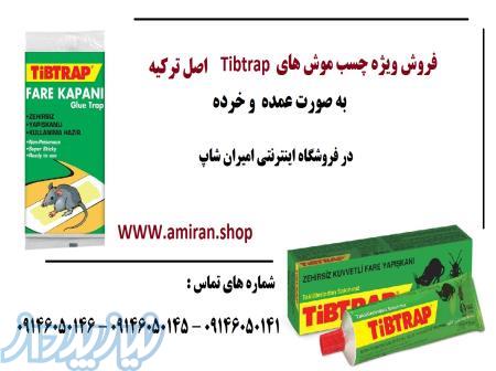 فروش ویژه چسب موش های اصل Tibtrap ترکیه 