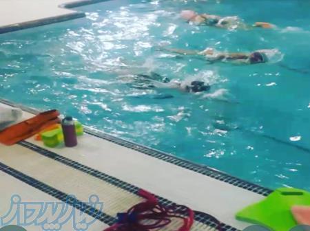 آموزش شنا تخصصی 