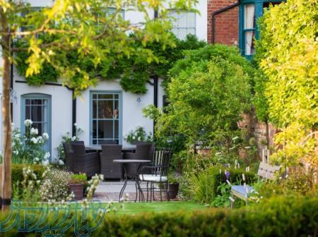 فروش باغ با سهمیه اب کشاورزی و 7 نوع نهال لیبل دار 