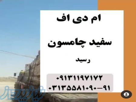 فروش ورق ام دی اف چامسون سفید 