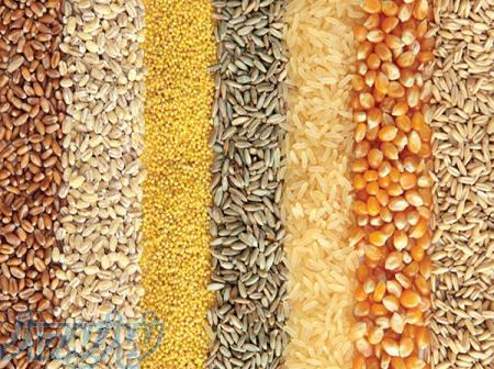 واردات شکر  ، واردات شکر ، واردات میوه جات ، صادرات خشکبار ، صادرات ادویه جات ،