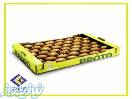 تولید انواع کارتن مواد غذایی و میوه جات صادراتی کارتن سازی کارنوپک
