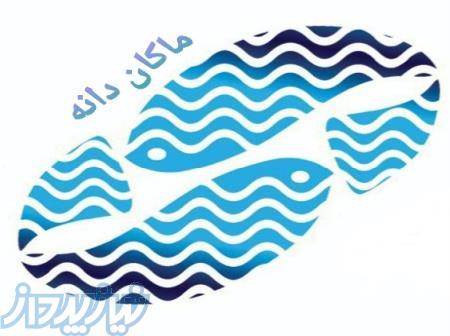 شرکت ماکان دانه 