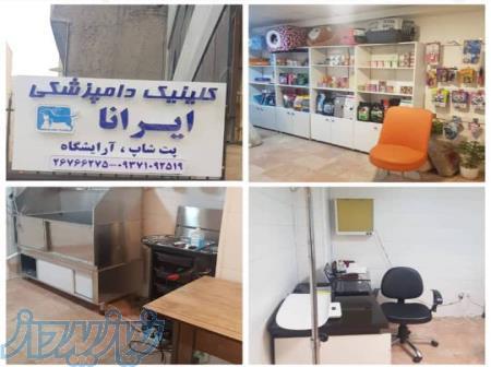 کلینیک دامپزشکی ایرانا 