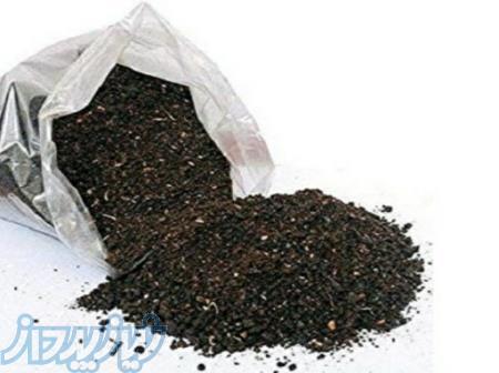 کود خشک بلدرچین 