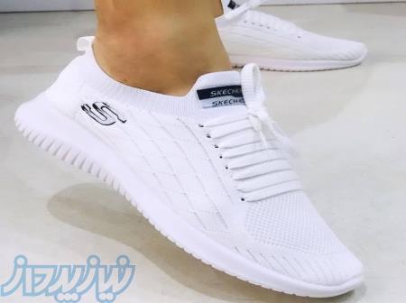 تولیدی و پخش عمده (آقای کفش) 