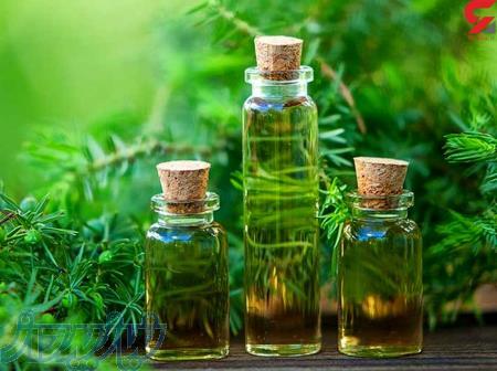 روغن درخت چای خالص اصل فرانسه در گالن 10 کیلویی 