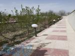625 متر باغ ویلا در ملارد شهریار 