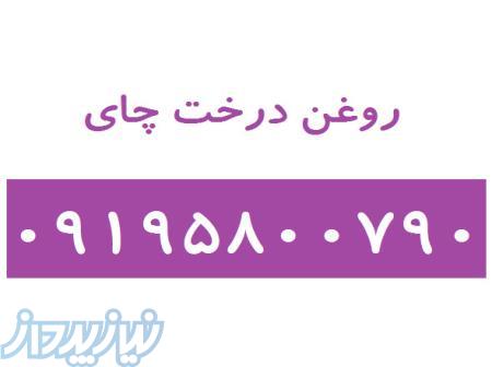 روغن درخت چای 