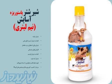 خرید شیر شتر پاستوریزه ، فروش شیر شتر در شیراز