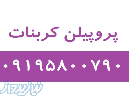 پروپیلن کربنات 