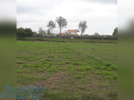 زمین ۱۳۰۰ متر دو بهر چابکسر اوشیان 