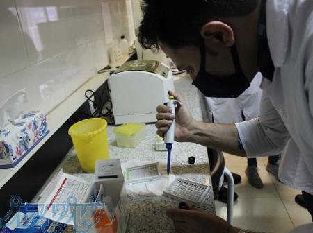 دوره تکنسین آزمایشگاه در تبریز 