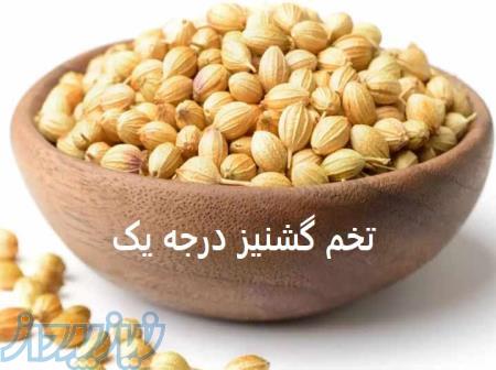 خرید و فروش تخم گشنیز درجه یک همدان 