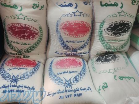 قیمت برنج هاشمی آستانه اشرفیه ، فروش برنج هاشمی تالش