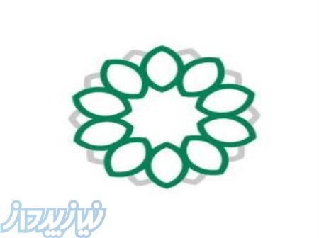 موسسه بین المللی 