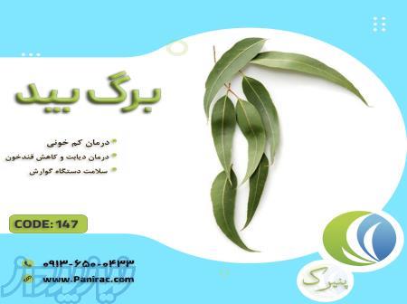 فروش برگ بید 