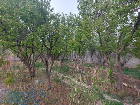 400 متر باغچه با سند تک برگ شهرک ملارد ویلای جنوبی 