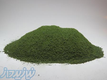 فروش جلبک اسپرولینا 