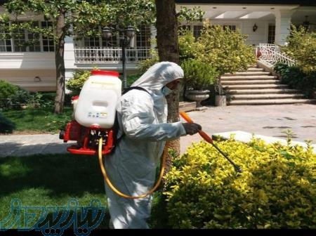 سمپاشی منازل ادارات سالن های زیبایی وسالن های ورزشی ورستوران ها 