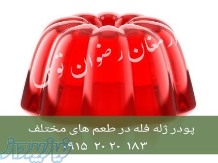 پودر ژله فله 