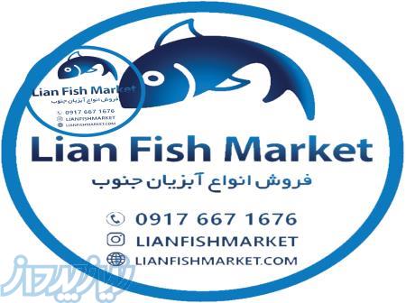 فروش آنلاین ماهی و میگو تازه جنوب ایران در فروشگاه اینترنتی لیان فیش مارکت 