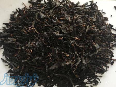 فروش عمده چای لاهیجان ، قیمت چای لاهیجان