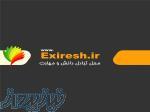 کسب درآمد بالا با مشارکت در exiresh ir 