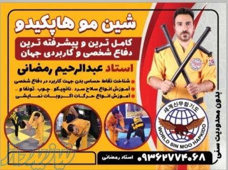 شین مو هاپکیدو  دفاع شخصی 