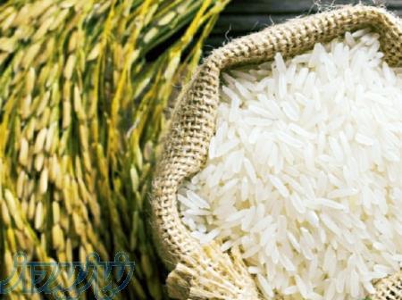 فروش عمده برنج 
