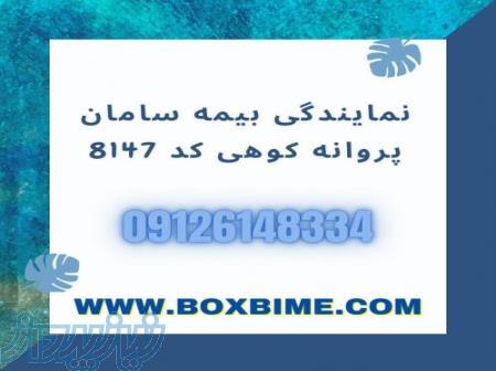 پروانه کوهی کد 8147 بیمه سامان   بیمه درمان تکمیلی انفرادی و خانواده سامان 