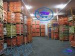 قیمت سردخانه خرما ، فروش سردخانه خرما در بوشهر