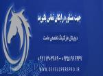 سئو سایت 