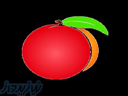 نرم افزار هلو در شرق تهران 