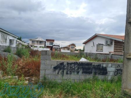 فروش زمین زیر قیمت شمال 