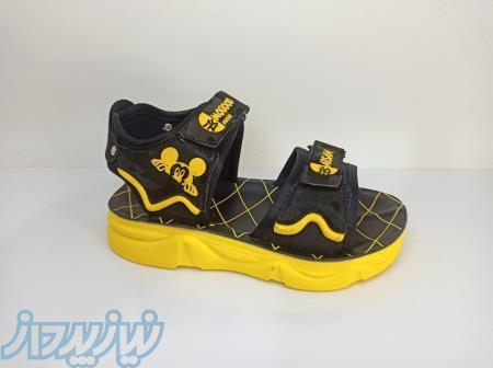 تولید کننده کفش بچه گانه ، زنانه و مردانه