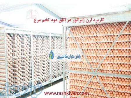 کاربرد ازن ژنراتور در اتاق دود تخم مرغ 