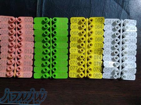 فروش پلاک گوش گوسفند