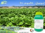 لبوسل کالیوم 450 