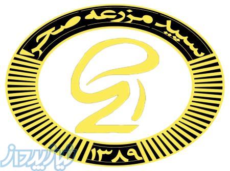 فروش تجهیزات سالن پرورش قارچ 