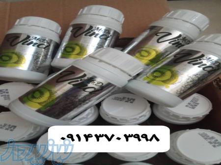 مستر داوینچی 